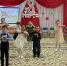 Праздничные мероприятия, посвящённые Международному женскому дню - Управление образования